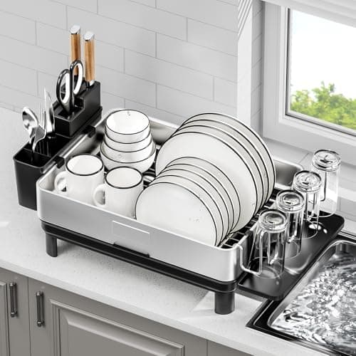 304 Stainless Steel Dish Drying Rack, Black, Kitchen Organizer with Drainage & Utensil Holder