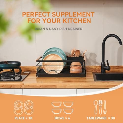 BRIAN & DANY Stainless Steel Dish Drying Rack with Cutlery Holder & Drainboard