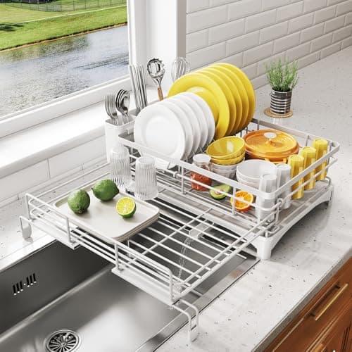 Extendable Stainless Steel Dish Drying Rack with Utensil Holder for Kitchen Counter (Black)
