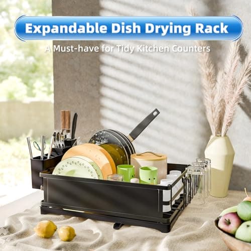 Trending Steel Dish Drying Rack, Large Capacity with Cutlery Holder, Black