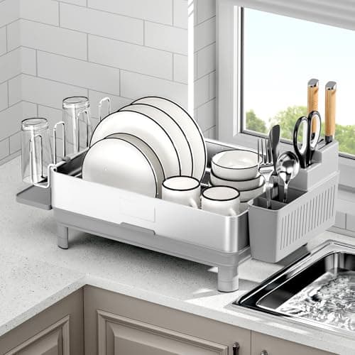 304 Stainless Steel Dish Drying Rack, Black, Kitchen Organizer with Drainage & Utensil Holder