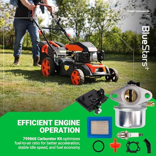 BlueStars Carburetor 799868 - Compatible with Multiple Engines