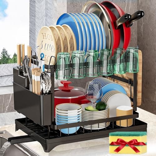 2-Tier Large Stainless Steel Dish Drying Rack with Drainboard for Kitchen Counter, Black
