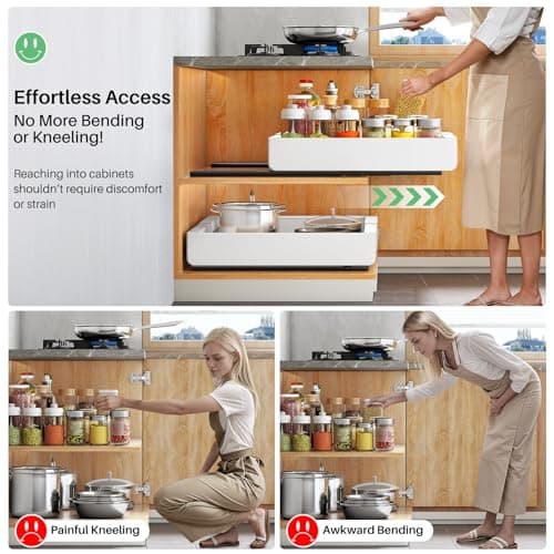 Pull-Out Kitchen Cabinet Organizer